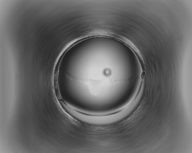 X0000116871339200912291312