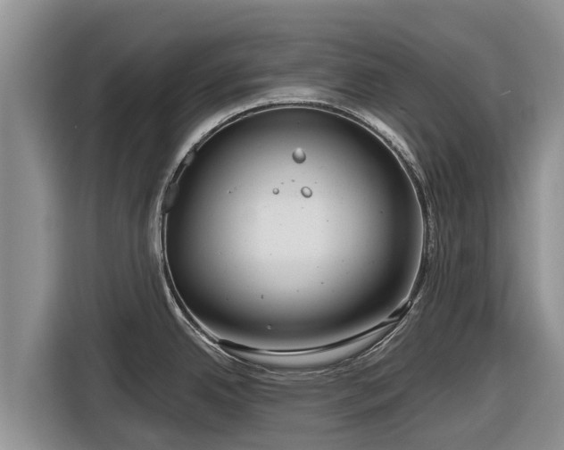 X0000116871342200912291312