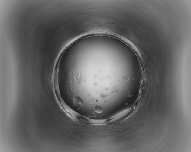 X0000116871343200912291312