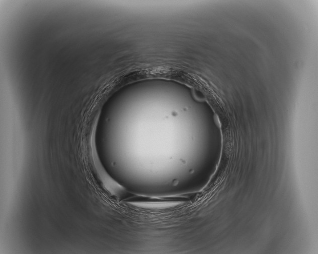 X0000116871345200912291311