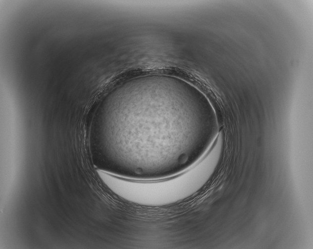 X0000116871348200912291311