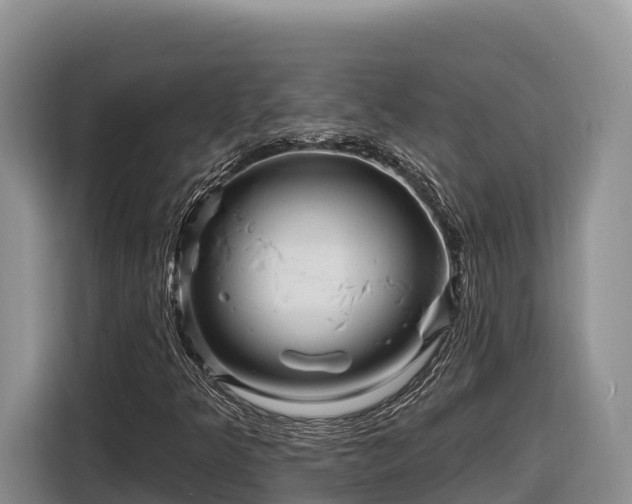 X0000116871349200912291311