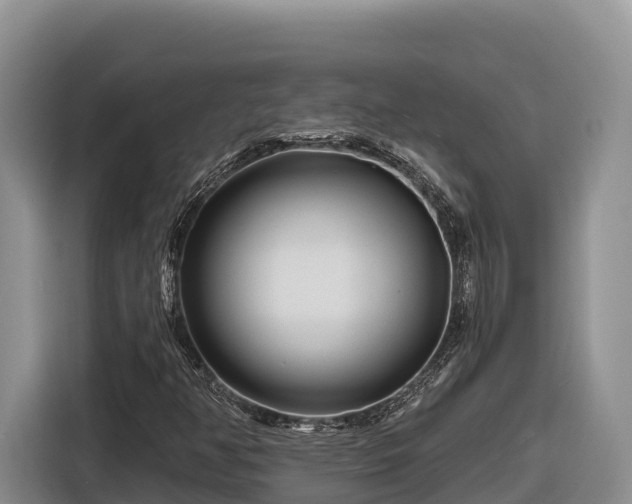 X0000116871350200912291311