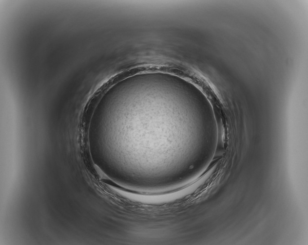 X0000116871352200912291311
