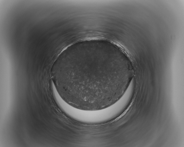 X0000116871353200912291311