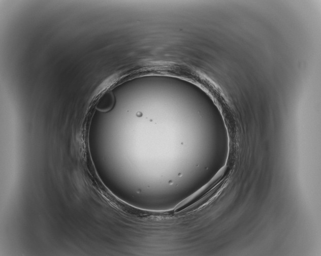 X0000116871354200912291311