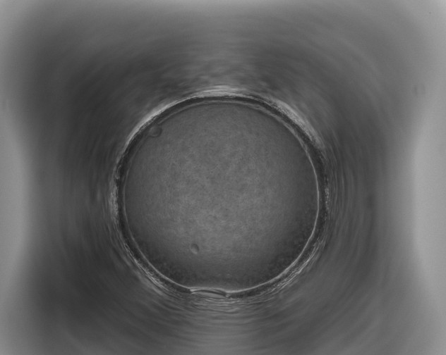 X0000116871356200912291311