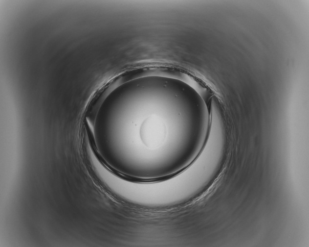 X0000116871357200912291311
