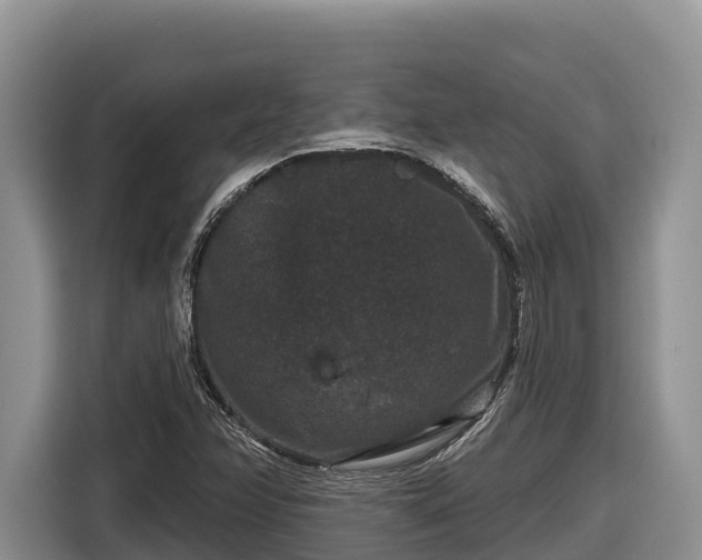 X0000116871358200912291311