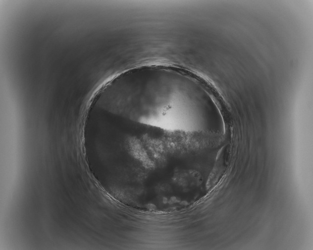 X0000116871359200912291311