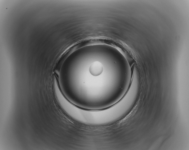 X0000116871361200912291311