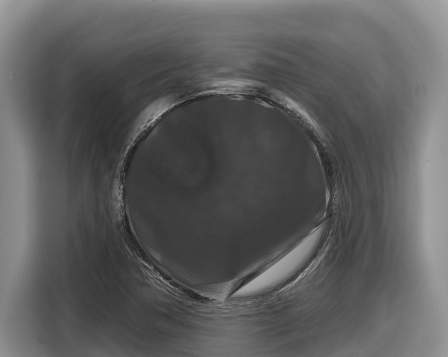 X0000116871362200912291311