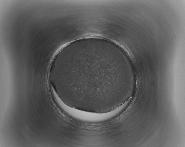 X0000116871363200912291311
