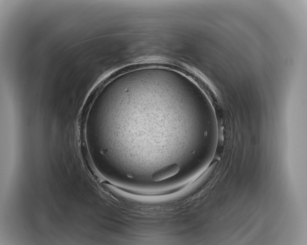 X0000116871364200912291311