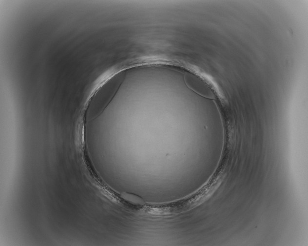X0000116871365200912291311