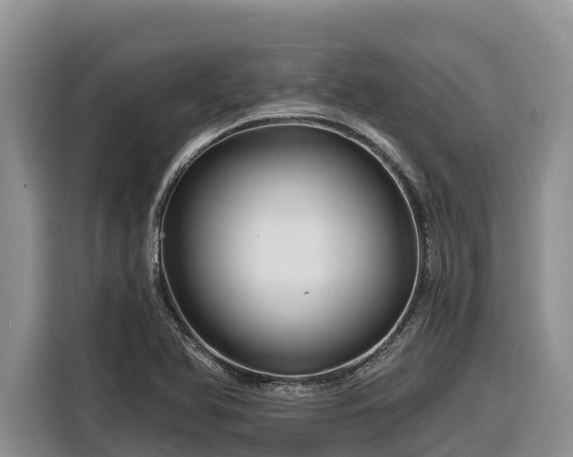 X0000116871366200912291311