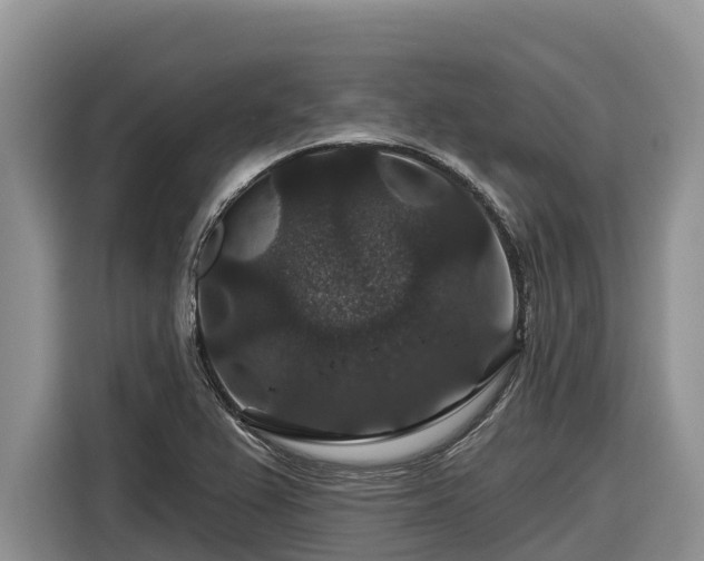 X0000116871367200912291311