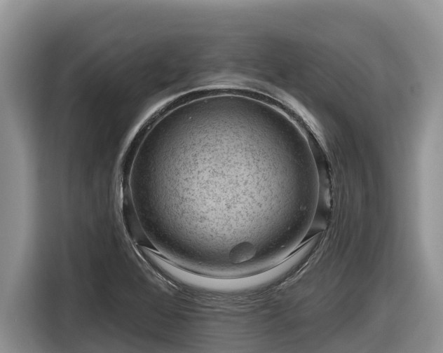 X0000116871368200912291311