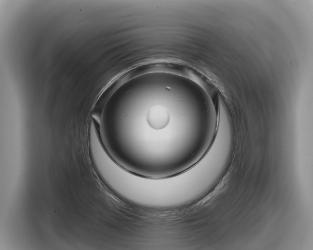 X0000116871369200912291311