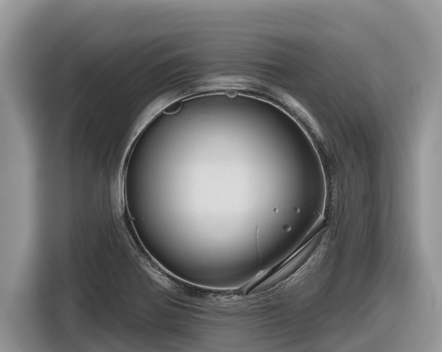 X0000116871370200912291311