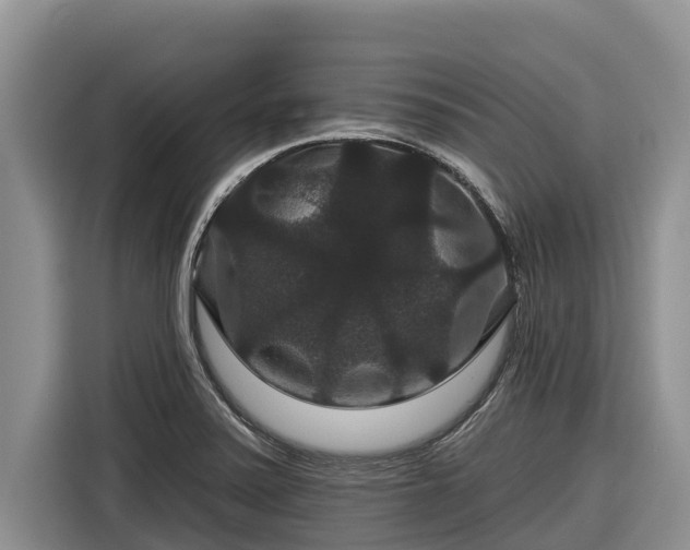 X0000116871371200912291311