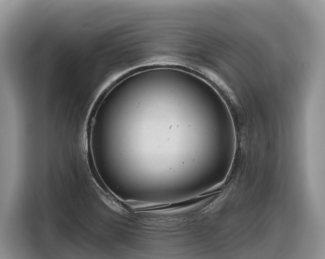 X0000116871372200912291311