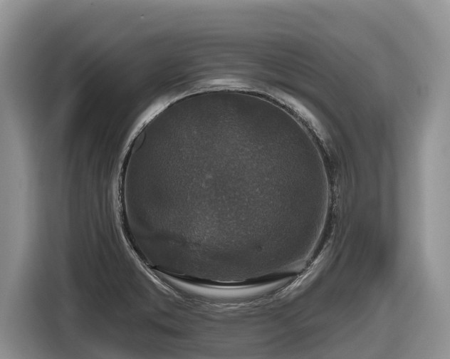 X0000116871373200912291311