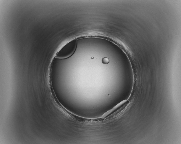 X0000116871374200912291311