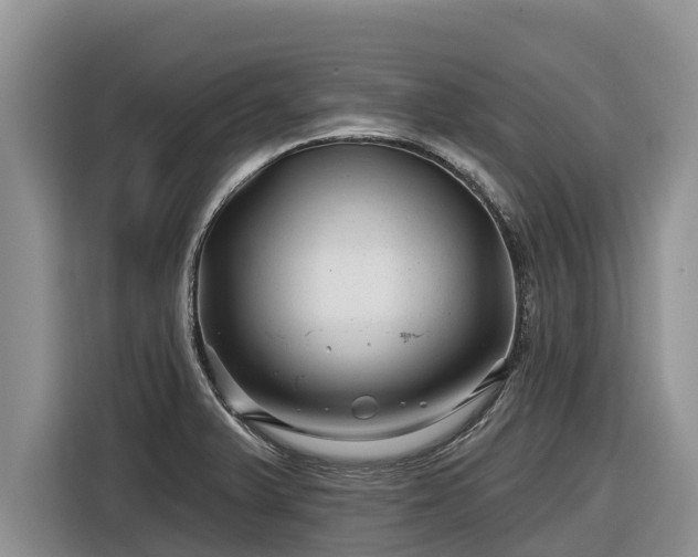 X0000116871375200912291311