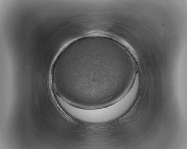 X0000116871376200912291311