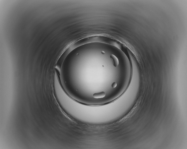 X0000116871377200912291311