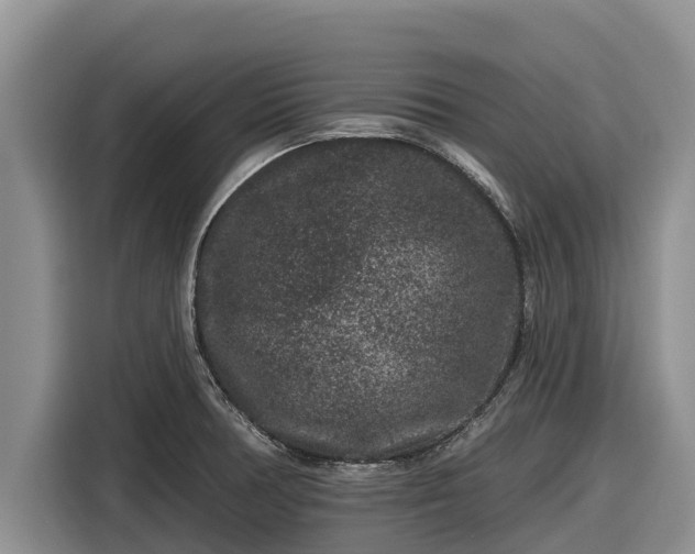 X0000116871378200912291311