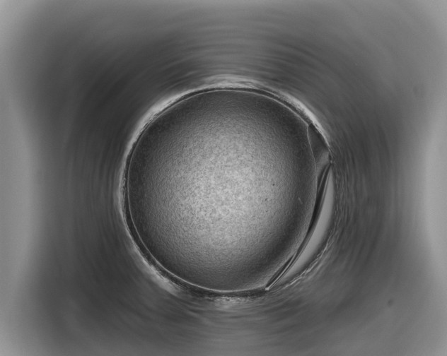 X0000116871379200912291311