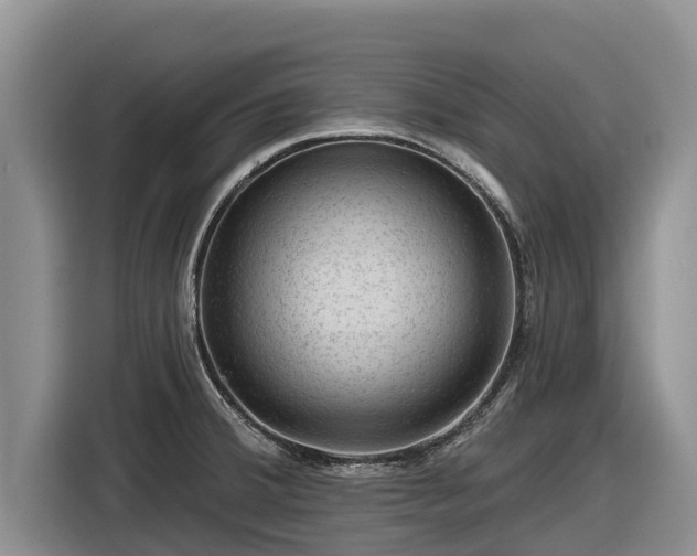 X0000116871380200912291311
