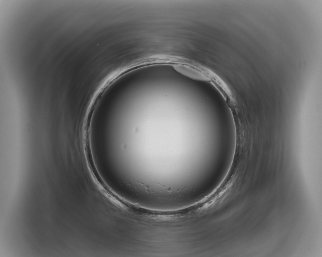 X0000116871381200912291311