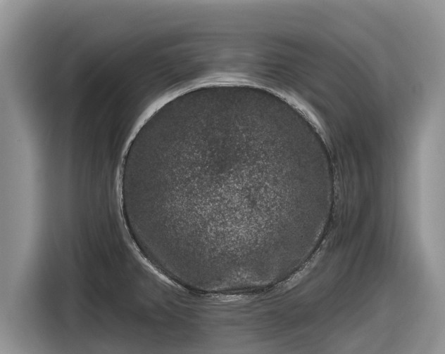 X0000116871382200912291311