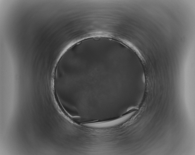 X0000116871383200912291311