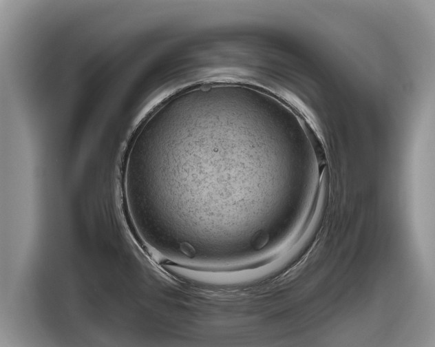 X0000116871384200912291311