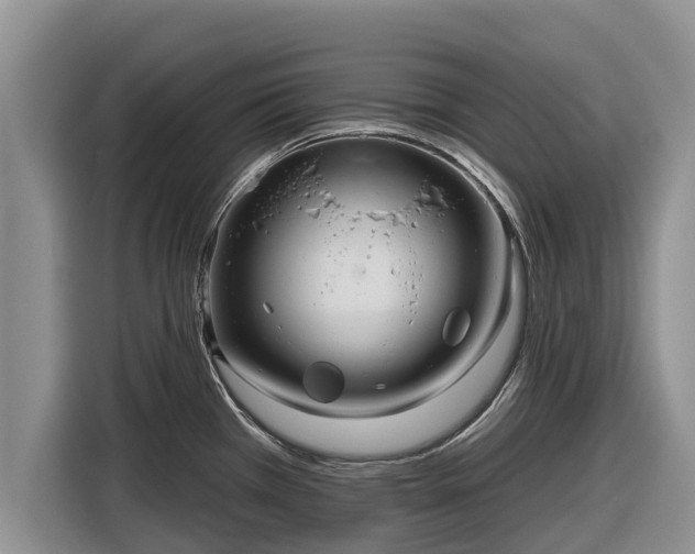 X0000116871385200912291311
