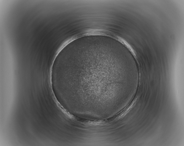 X0000116871386200912291311