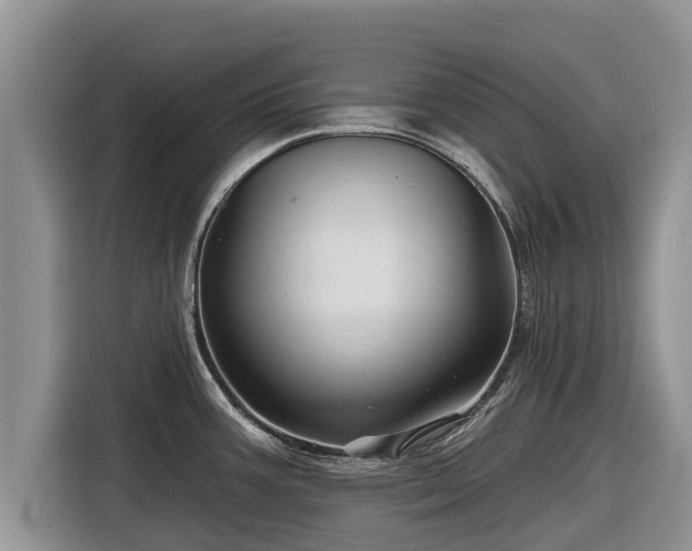 X0000116871387200912291311