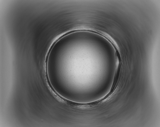 X0000116871388200912291311