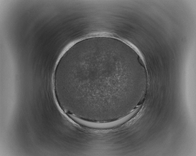X0000116871389200912291311
