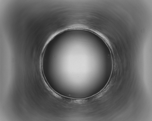 X0000116871390200912291311
