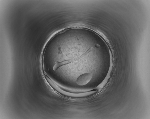 X0000116871392200912291311