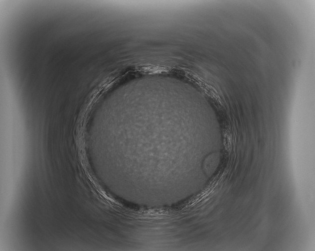 X0000116871393200912291310