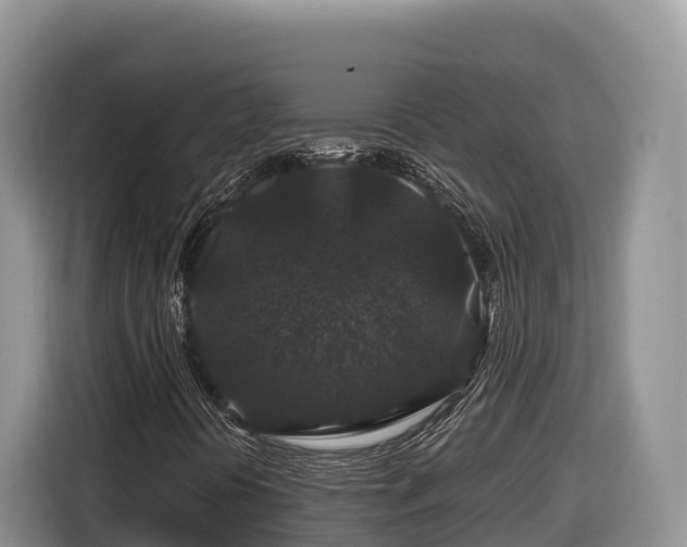 X0000116871394200912291310