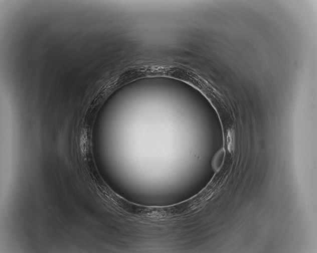 X0000116871395200912291310