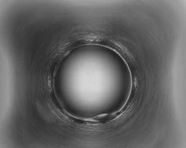 X0000116871396200912291310