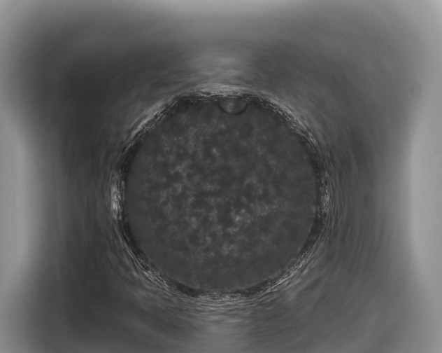 X0000116871397200912291310